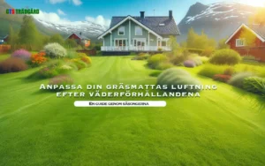 Grön frisk gräsmattad som är luftad