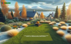 Illustration av bästa tiden att lufta gräsmattan